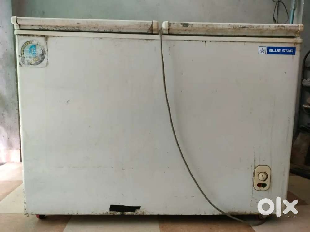 Blue Star 301 L Double Door Standard Deep Freezer, White, CHFDD300MGEW