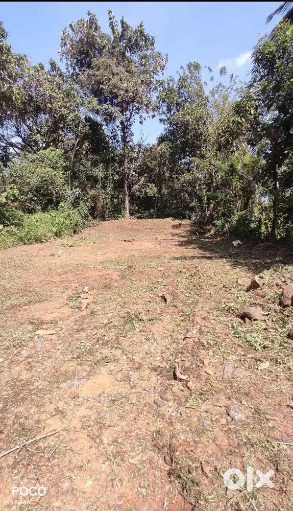 5.6 cent plot at Velur chungam