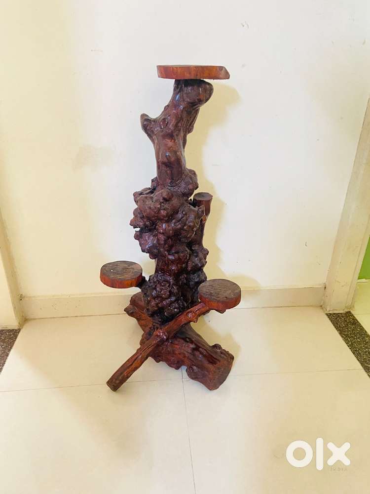 Coffee root stand