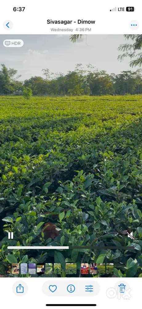 Sale bagan plot urjent need money