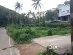 Sreekaryam powdikonam jn to 100mtr 5cent plot