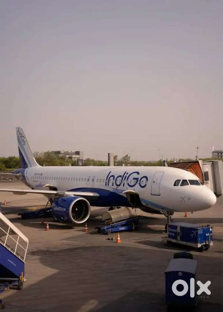 Urgent requirements for ground staff job in Indigo airline
