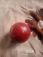 Layan Sport Cricket Leather Ball (4 Piece, Red) Standard