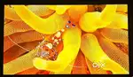 Mi 43 Inch 4K Ultra HD Android Smart TV – Like New Condition