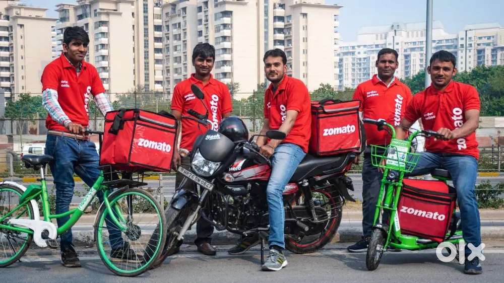 Zomato delivery job