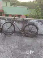Gent's  cycle