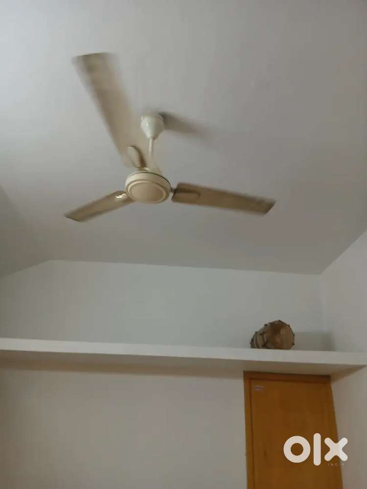 Two fan( one is old and otherone is new)