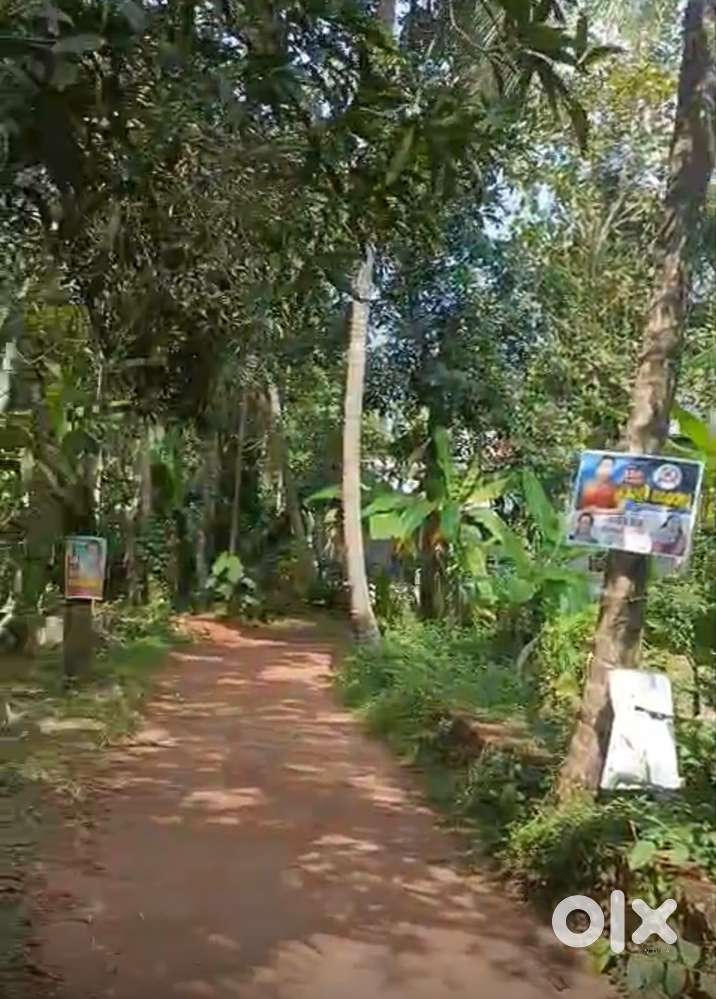 Kakkodi - Padinjattumuri 14 Cent House Plot