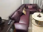 L  Shape Sofa