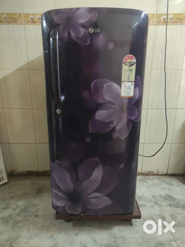 Lg Refrigerator