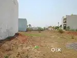Near amleshwar