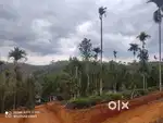 90-Cent Scenic Plot for Sale in Thomaattuchaal, Wayanad