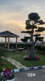 PLOT 1 KANAL SECTOR-110 TDI CITY, MOHALI