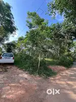 96 cent level plot in manathavady for sale