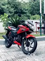 Neat CBF STUNNER 2012 MODEL