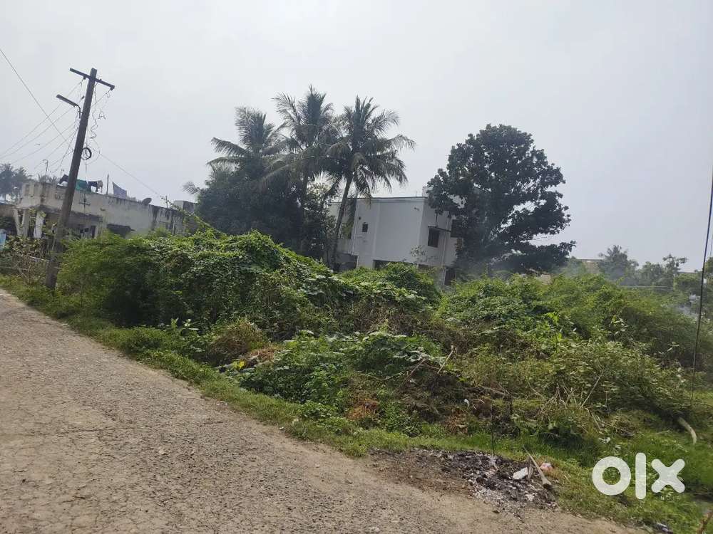 - North and East corner Facing