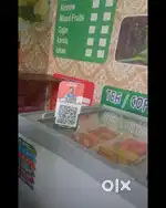 DEEP FREEZER BLUE STAR