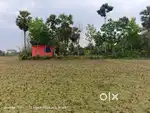 Uluberia Belari More plot sell