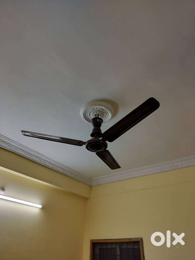 Ceiling fans