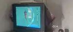 LG tv want to urgent seal