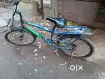 Warrios cycle