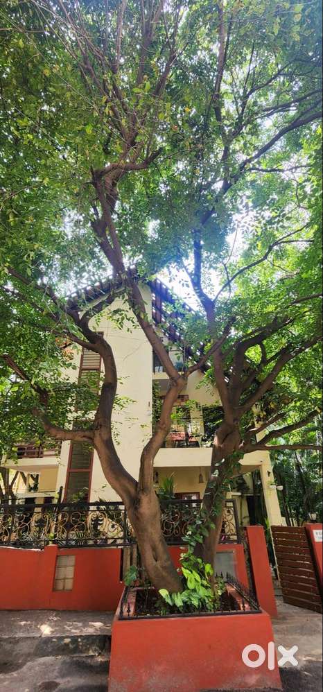 2 BHK in BTM Layout 2nd Stage – Prime & Well-Connected Location