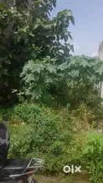 148 gaj plot,nogawa road near jabdi showroom wali gali