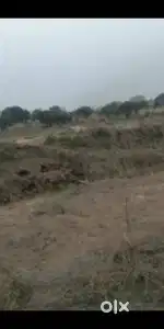 Prime Residential & Commercial Land for Sale in Kalyan Bigaha, Bakhti