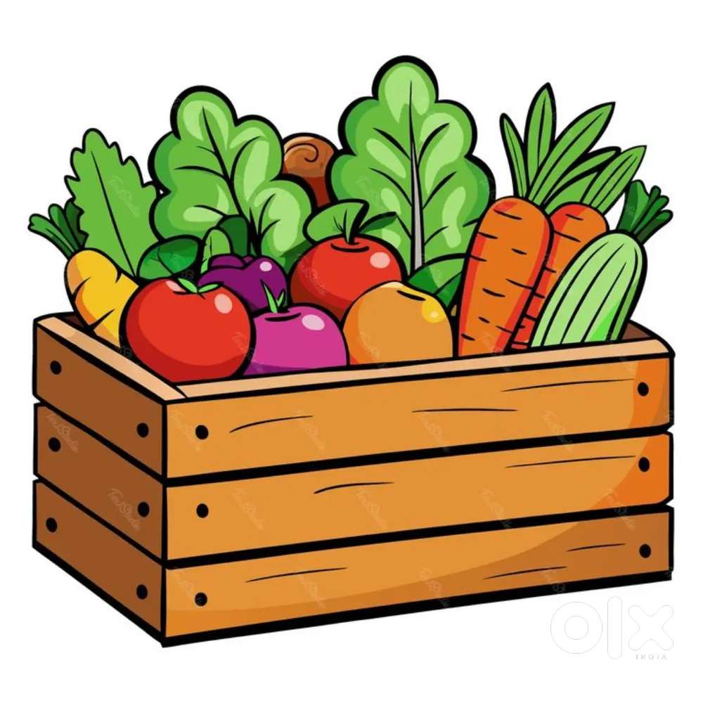 Wanted Night PPD staff
( packing, picking, delivery)
At Grocery Firm