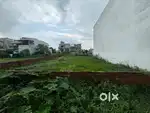 in a gated colony corner plot