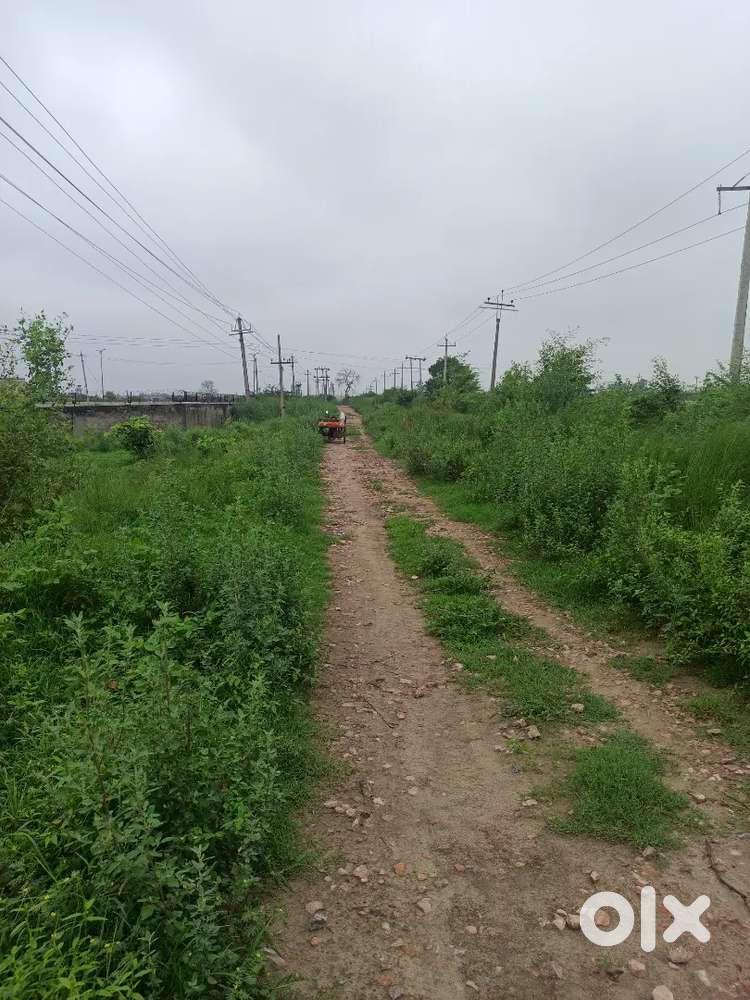 6 Acres land adjacent MIT industrial area,bhigan in orange zone