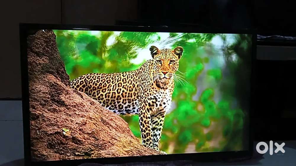 Samsung smart Android led tv 32 inch