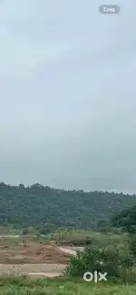 50 kanal land
