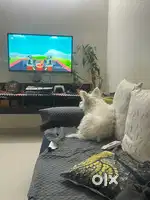 40 inch “Kodak” Android smart TV