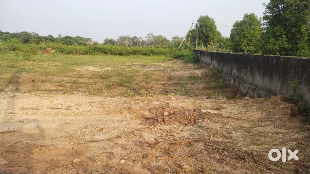 VUDA Approved plot for sale Rajula Thallavalasa