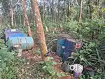 House plot with tapping ready rubber