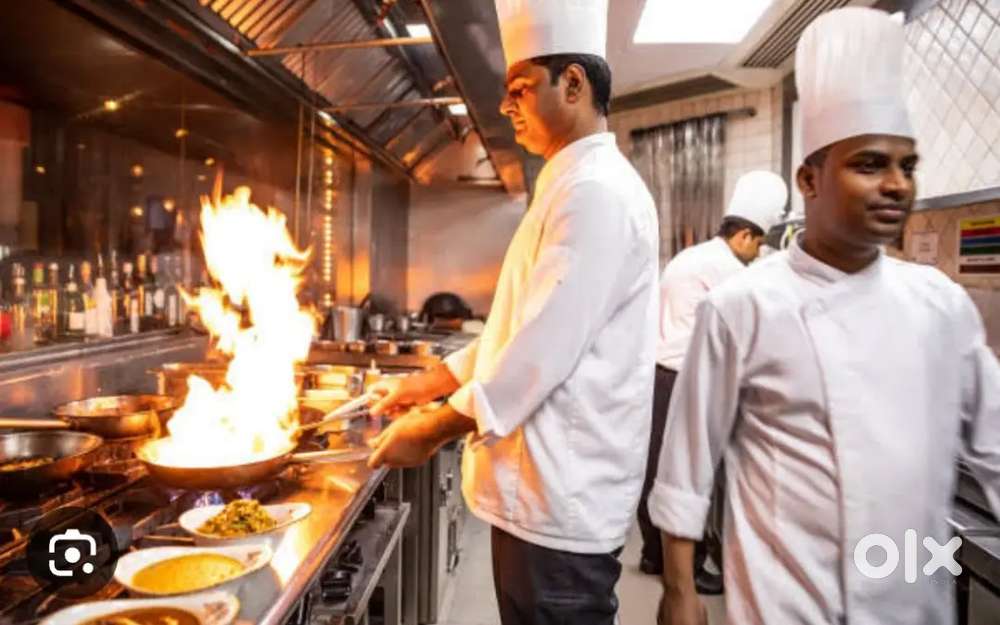 Wanted indian chinese biryani all rounder chef for hotel restaurant