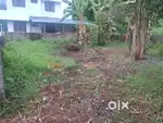 5 cent near kovoor calicut,with a wide road access