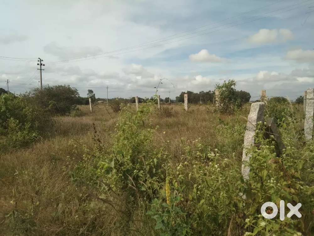 Site for immediate sale