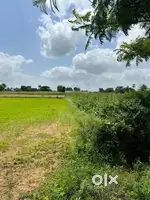 FARM LANDS FOR SALE