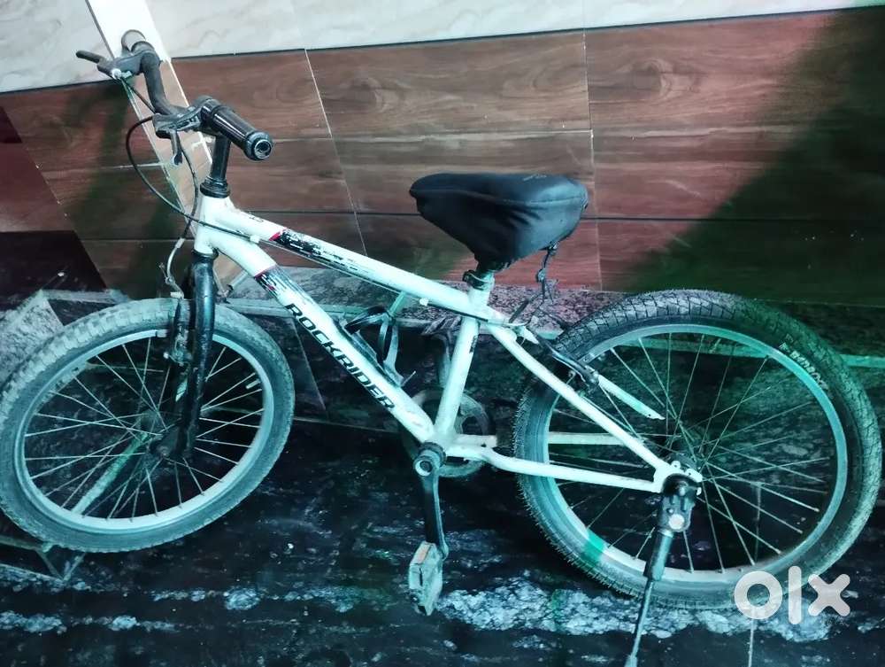Rock rider