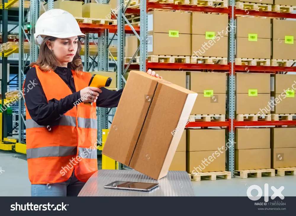 LOOKING FOR FRESHERS AND EXPERIENCED CANDIDATES IN WAREHOUSE COMPANY