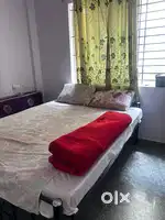 Looking for female roomate in Neeladri nagar, Electronicity phase1