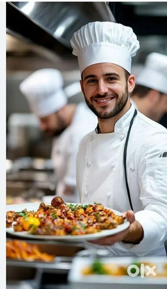Chef non veg  experience person only