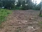 12 cent land for sale near Nedumbassery Airport
