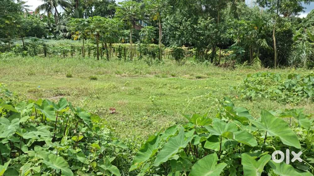 Rudra Enterprises is a land selling and buying company