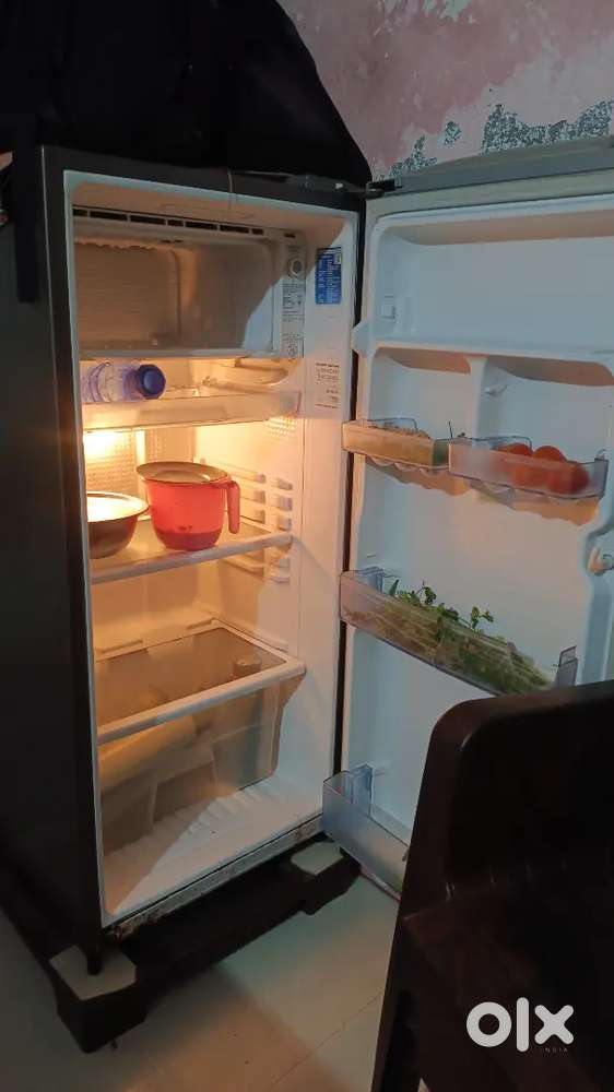 Fridge sell with out  stand  big size lena he