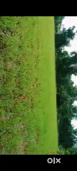 Palaj Approch Road Entry Jagyaa