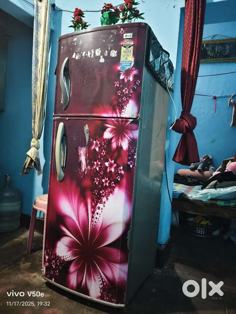 LG fridge works without stabilizer