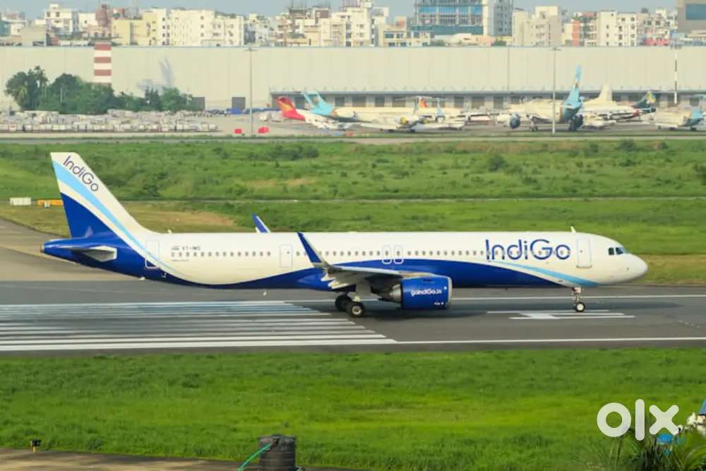 Urgent hiring for ground staff jobs in Indigo Airlines